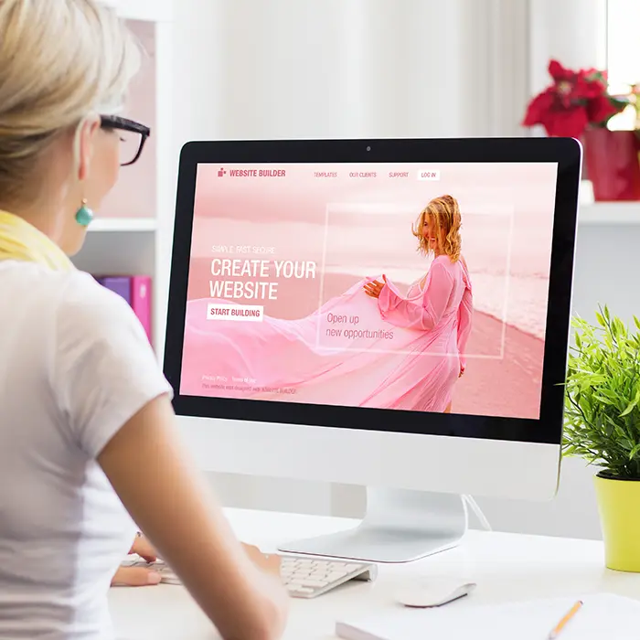 Website development